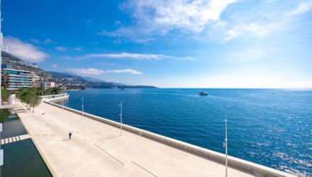 petrini exclusive real estate mareterra renzo for sale65