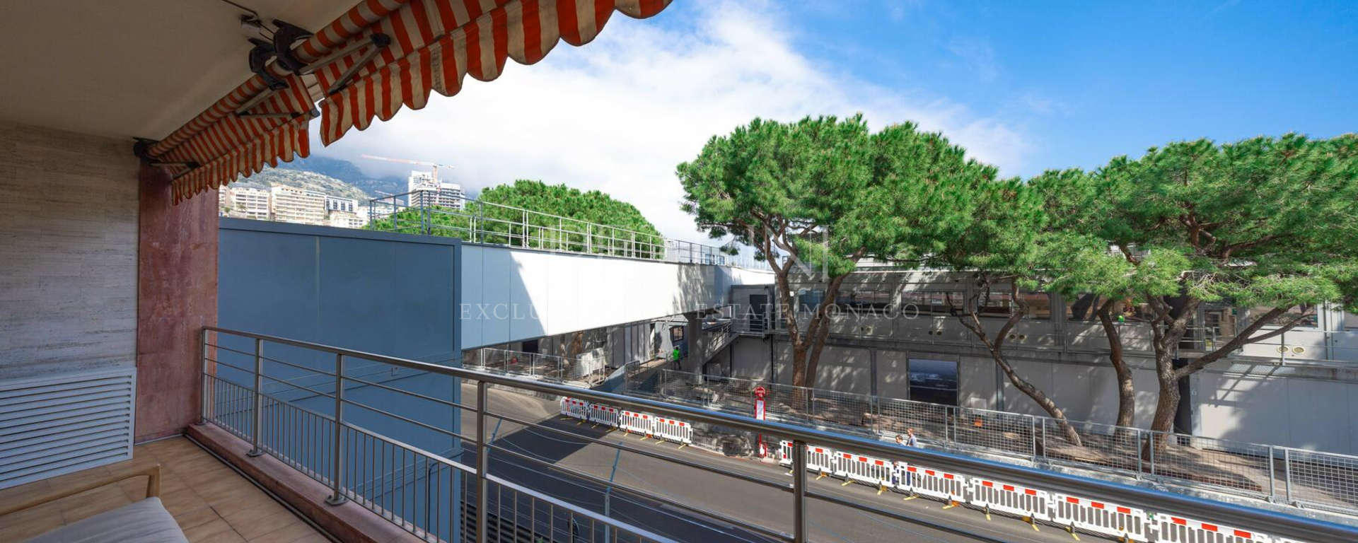 l albatros petrini exclusive7