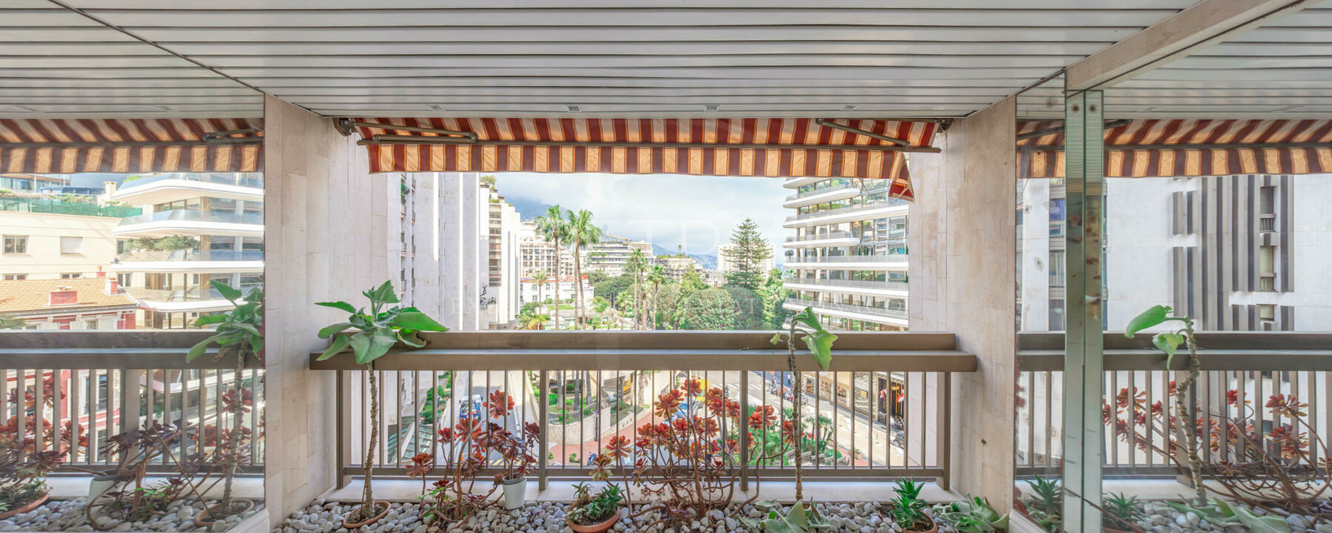 park palace petrini exclusive 4p5