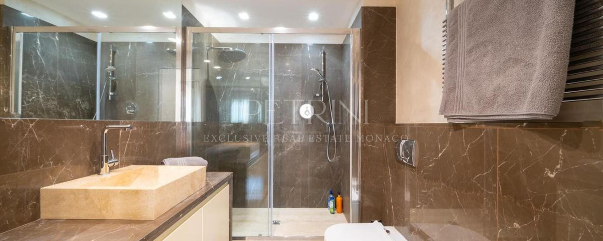 vallespir petrini exclusive real estate monaco8