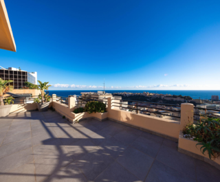 petrini exclusive real estate mareterra le palais du printemps for sale33