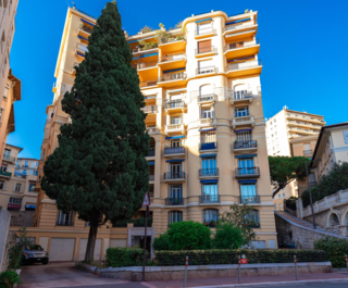 petrini exclusive real estate mareterra le palais du printemps for sale40