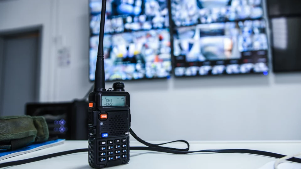 Общественная безопасность в Монако