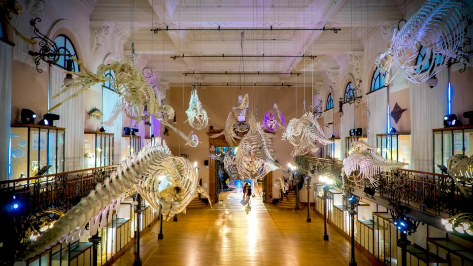 Il Museo Oceanografico di Monaco